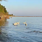 Sea Sky View Apartment